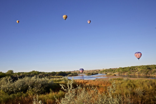 USA, New Mexico, Albuquerque. Hot air balloon Poster Print by Connie Bransilver - Item # VARPDDUS32CBA0066