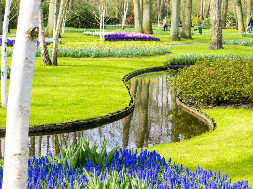Netherlands, Lisse. Multicolored flowers in spring. Poster Print by Terry Eggers - Item # VARPDDEU18TEG0037