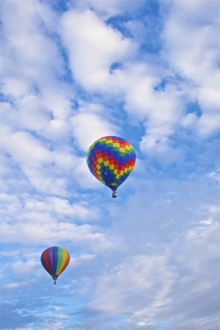 USA, Albuquerque. International Balloon Fiesta Poster Print by Connie Bransilver - Item # VARPDDUS32CBA0145