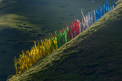 Prayer flags on hillside, Tagong, western Sichuan, China Poster Print by Keren Su - Item # VARPDDAS07KSU2298