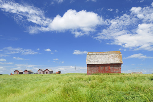 Canada, Saskatchewan, Hazenmore. Wooden granaries. Poster Print by Jaynes Gallery - Item # VARPDDCN11BJY0024