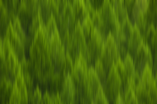 USA, Idaho. Pine trees abstract in Sawtooth Range. Poster Print by Jaynes Gallery - Item # VARPDDUS13BJY0017