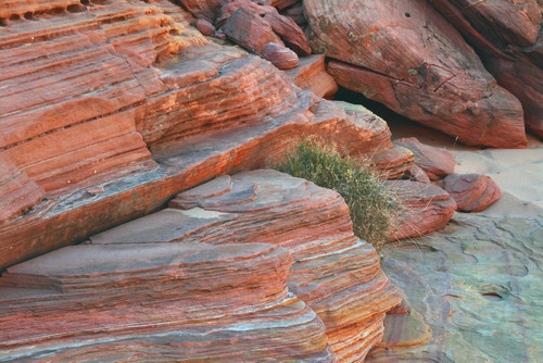 Pink Canyon, Valley of Fire State Park, Nevada, USA. Poster Print by Michel Hersen - Item # VARPDDUS29MHE0137