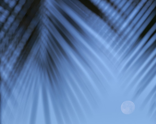 Supermoon along Hawaiian coast. Miloli'i beach, Hawaii Poster Print by Maresa Pryor - Item # VARPDDUS12MPR0047