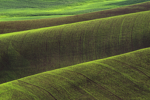 USA, Washington State, Palouse. Rolling wheat field.  Poster Print by Jaynes Gallery - Item # VARPDDUS48BJY1078