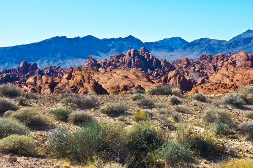 USA, Nevada, Valley of Fire State Park. Fire Canyon Road Poster Print by Bernard Friel - Item # VARPDDUS29BFR0128