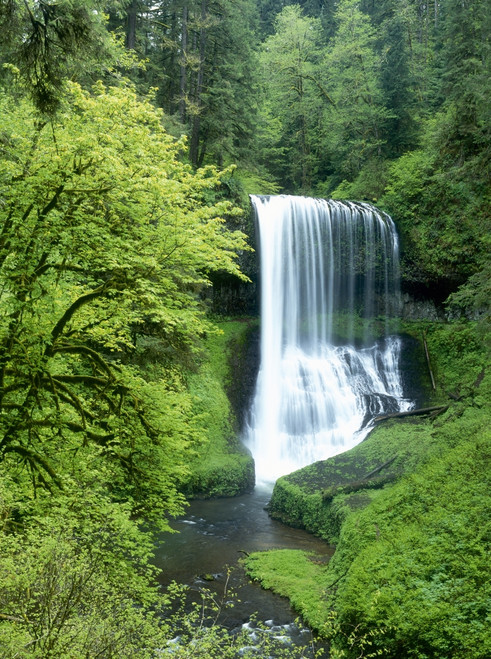 North-Middle Falls, Silver Falls State Park, Oregon Poster Print by Stuart Westmorland - Item # VARPDDUS38SWR0324