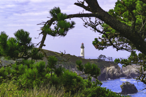 Yaquina Head Lighthouse, near Newport, Oregon Coast Poster Print by Stuart Westmorland - Item # VARPDDUS38SWR0355