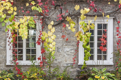 Canada, Quebec, Neuville. Rue des Erables, village building Poster Print by Walter Bibikow - Item # VARPDDCN10WBI0501