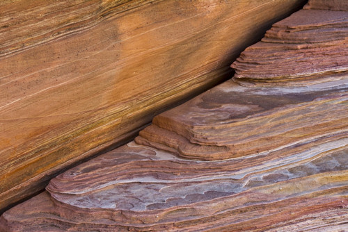 Pink Canyon close-up, Valley of Fire State Park, Nevada, USA Poster Print by Michel Hersen - Item # VARPDDUS29MHE0094