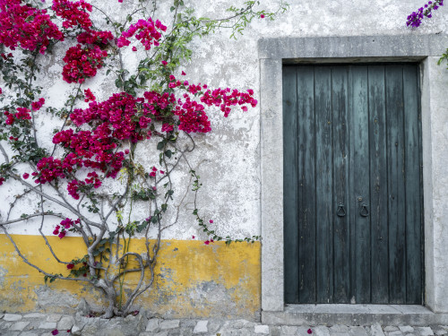 Portugal, Obidos. Beautiful bougainvillea blooming in the town Poster Print by Julie Eggers - Item # VARPDDEU23JEG0232