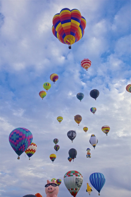 USA, New Mexico, Albuquerque International Balloon Fiesta Poster Print by Connie Bransilver - Item # VARPDDUS32CBA0094