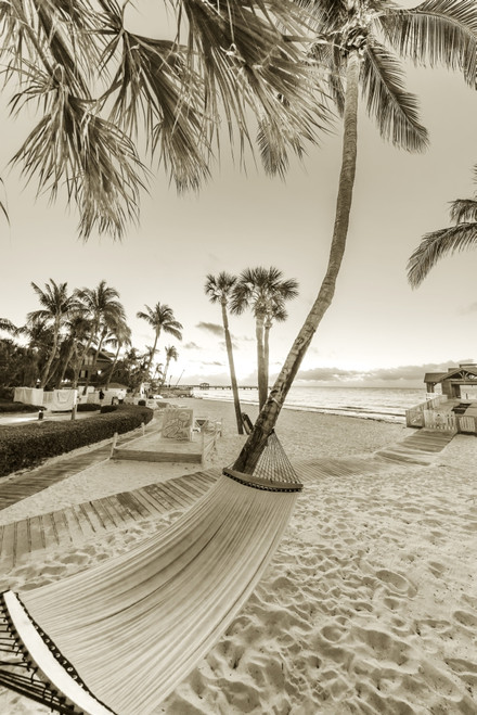 Hammock at sunrise at The Reach Resort in Key West, Florida, USA Poster Print by Chuck Haney - Item # VARPDDUS10CHA0107