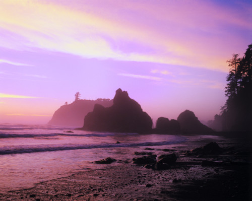 USA, Washington, Olympic National Park. Sunset at Ruby Beach. Poster Print by Jaynes Gallery - Item # VARPDDUS48BJY1057