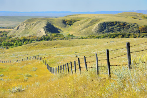 Canada, Saskatchewan, Maple Creek. Fence and prairie landscape. Poster Print by Jaynes Gallery - Item # VARPDDCN11BJY0072