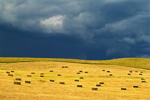 Canada, Manitoba, Holland. Square bales in field and storm clouds. Poster Print by Jaynes Gallery - Item # VARPDDCN03BJY0406 Canada, Manitoba, Holland. Square bales in field and storm clouds. Poster Print by Jaynes Gallery - Item # VARPDDCN03BJY0406