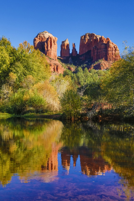 Sedona and the Red Rock Crossing with river reflecting the red rock Poster Print by Darrell Gulin - Item # VARPDDUS03DGU0182