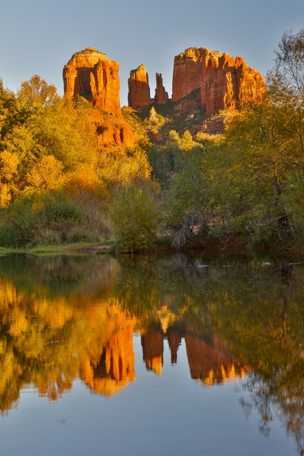 Sedona and the Red Rock Crossing with river reflecting the red rock Poster Print by Darrell Gulin - Item # VARPDDUS03DGU0184