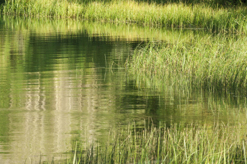 USA, California, Sierra Nevada Range. Reflections in mountain lake. Poster Print by Jaynes Gallery - Item # VARPDDUS05BJY1376