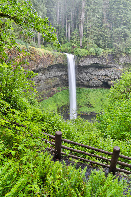 Silver Falls State Park, Oregon South Falls and trail leading to it Poster Print by Darrell Gulin (18 x 24) # US38DGU0222