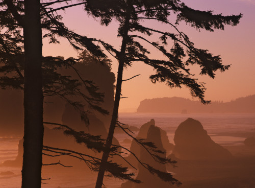 USA, Washington State, Olympic National Park. Sunset at Ruby Beach. Poster Print by Jaynes Gallery - Item # VARPDDUS48BJY1047