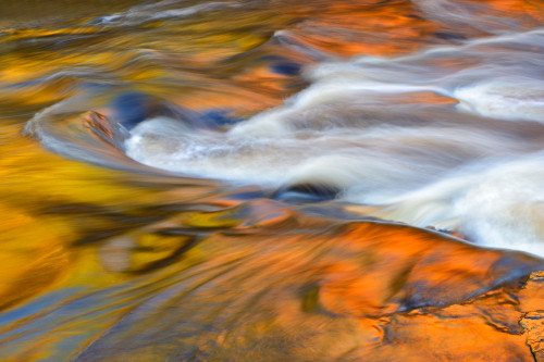 Canada, Ontario, Rosseau. Maple trees reflected in stream at sunset. Poster Print by Jaynes Gallery - Item # VARPDDCN08BJY0249