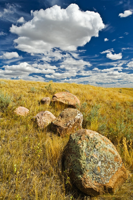 Canada, Saskatchewan, Grasslands National Park. Grasslands landscape. Poster Print by Jaynes Gallery - Item # VARPDDCN11BJY0068