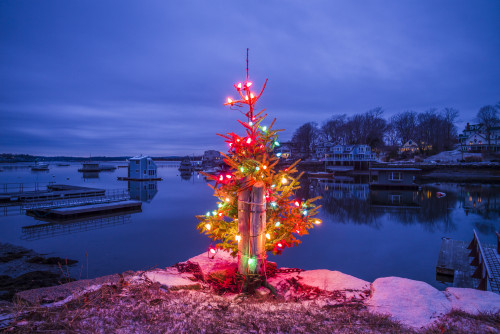 USA, Massachusetts, Cape Ann, Annisquam. Lobster Cove, Christmas Tree Poster Print by Walter Bibikow - Item # VARPDDUS22WBI3001