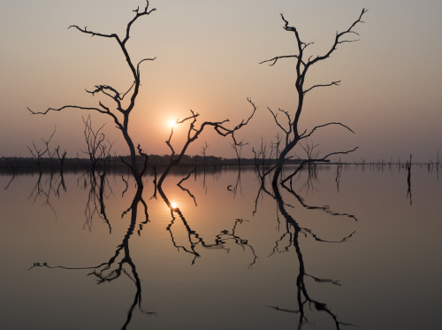 Africa, Zimbabwe, Matusadona National Park. Reflections on Lake Kariba. Poster Print by Jaynes Gallery - Item # VARPDDAF52BJY0020 Africa, Zimbabwe, Matusadona National Park. Reflections on Lake Kariba. Poster Print by Jaynes Gallery - Item # VARPDDAF52BJY0020
