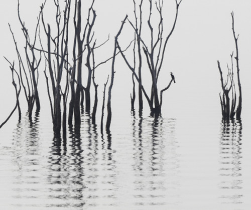 Africa, Zimbabwe, Matusadona National Park. Reflections on Lake Kariba. Poster Print by Jaynes Gallery - Item # VARPDDAF52BJY0034 Africa, Zimbabwe, Matusadona National Park. Reflections on Lake Kariba. Poster Print by Jaynes Gallery - Item # VARPDDAF52BJY0034