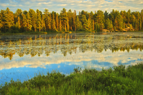 Canada, Ontario, Algonquin Provincial Park. Lake reflections at sunset. Poster Print by Jaynes Gallery - Item # VARPDDCN08BJY0286