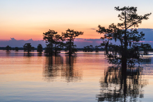 USA, Louisiana, Atchafalaya National Wildlife Refuge. Sunrise on swamp.  Poster Print by Jaynes Gallery - Item # VARPDDUS19BJY0255