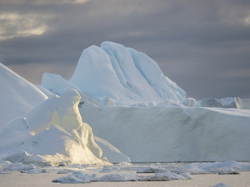 Ilulissat Icefjord also called kangia or Ilulissat Kangerlua at Disko Bay.  Poster Print by Martin Zwick - Item # VARPDDGR01MZW1153