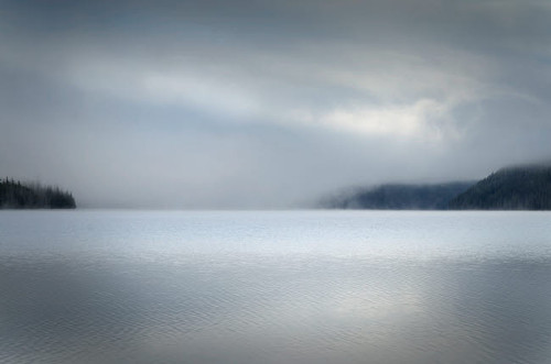 Foggy morning at Redfish Lake, Sawtooth National Recreation Area, Idaho Poster Print by Alan Majchrowicz # US13AMA0000