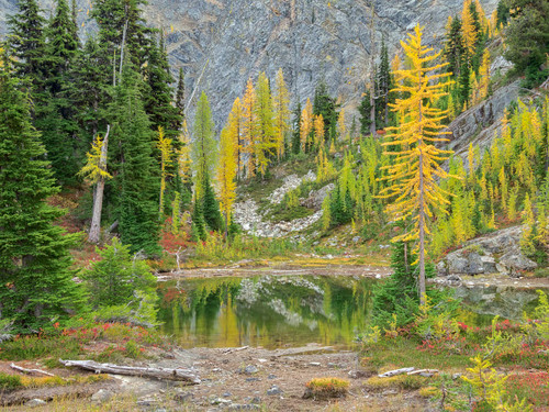 USA, Washington State Okanogan-Wenatchee National Forest, Alpine pond Poster Print by Jamie & Judy Wild (24 x 18) # US48JWI5186