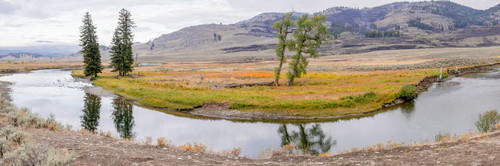 Yellowstone National Park, Wyoming, USA Panorama landscape of Slough Creek Poster Print by Janet Horton (24 x 18) # US51JHO0088 Yellowstone National Park, Wyoming, USA Panorama landscape of Slough Creek Poster Print by Janet Horton (24 x 18) # US51JHO0088