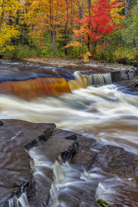 Sturgeon River in autumn near Alberta in the Upper Peninsula of Michigan, USA Poster Print by Chuck Haney - Item # VARPDDUS23CHA0326