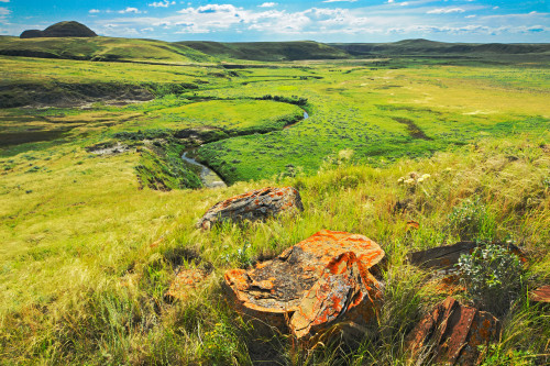 Canada, Saskatchewan, Grasslands National Park. Killdeer Badlands formations. Poster Print by Jaynes Gallery - Item # VARPDDCN11BJY0055