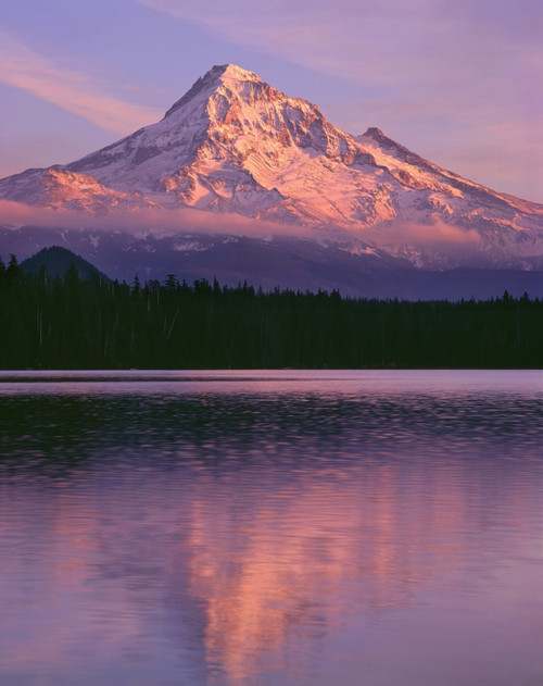 OR, Mount Hood NF. Sunset light reddens north side of Mount Hood with first snow Poster Print by John Barger - Item # VARPDDUS38JBA0241 OR, Mount Hood NF. Sunset light reddens north side of Mount Hood with first snow Poster Print by John Barger - Item # VARPDDUS38JBA0241