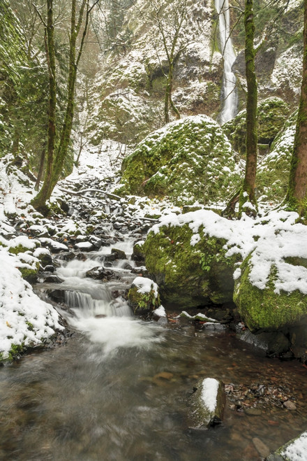 Starvation Creek near Sandy, Columbia Gorge National scenic Area, Oregon, USA Poster Print by Stuart Westmorland - Item # VARPDDUS38SWR0178