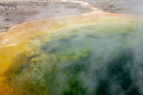 Yellowstone National Park, Wyoming, USA Morning Glory Pool with steam rising from it Poster Print by Janet Horton (24 x 18) # US51JHO0054