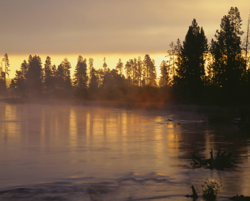 USA, Oregon, Deschutes National Forest. Fog hovers above the Deschutes River at sunrise. Poster Print by John Barger - Item # VARPDDUS38JBA0205