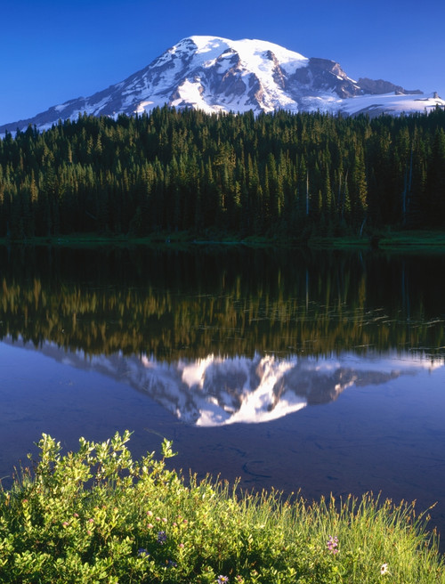 USA, Washington, Mt. Rainier National Park. Clouds on Mt Rainier and Reflection Lake. Poster Print by Jaynes Gallery - Item # VARPDDUS48BJY1052
