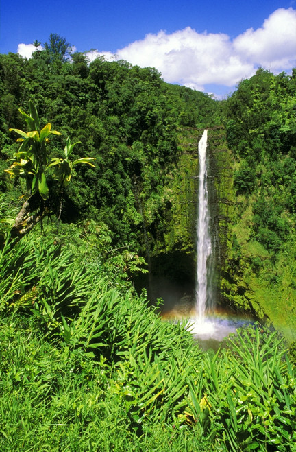 Lush vegetation framing Akaka Falls, Akaka Falls State Park, The Big Island, Hawaii, USA. Poster Print by Russ Bishop - Item # VARPDDUS12RBS0496