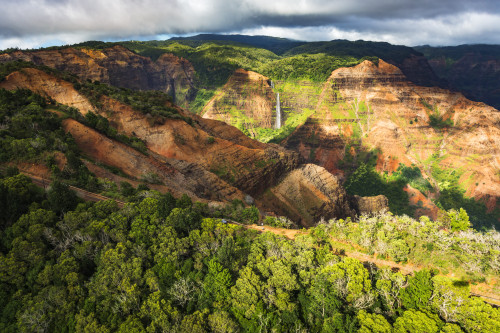 Waipoo Falls and the Waimea Canyon highway, Waimea Canyon State Park, Kauai, Hawaii, USA. Poster Print by Russ Bishop - Item # VARPDDUS12RBS0508
