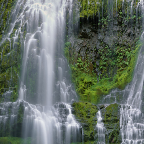 OR, Willamette NF. Three Sisters Wilderness, Lower Proxy Falls displays multiple cascades Poster Print by John Barger - Item # VARPDDUS38JBA0219