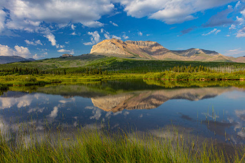 Sofa Mountain reflecting into beaver pond in Waterton Lakes National Park, Alberta, Canada Poster Print by Chuck Haney (24 x 18) # CN01CHA0190