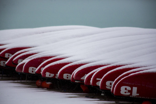 Fresh late summer snow on docked canoes Lake Louise, Banff National Park, Alberta, Canada Poster Print by Sylvia Gulin - Item # VARPDDCN01SGU0002 Fresh late summer snow on docked canoes Lake Louise, Banff National Park, Alberta, Canada Poster Print by Sylvia Gulin - Item # VARPDDCN01SGU0002