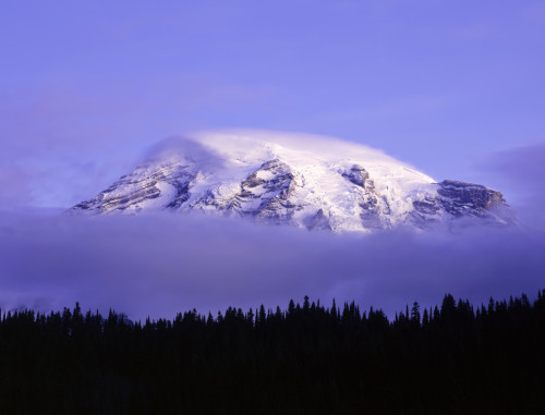 USA, Washington, Mt. Rainier National Park. Clouds on Mt Rainier and forest silhouette. Poster Print by Jaynes Gallery - Item # VARPDDUS48BJY1049