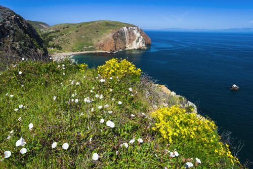 Hiking at Scorpion Ranch, Santa Cruz Island, Channel Islands National Park, California, USA Poster Print by Russ Bishop - Item # VARPDDUS05RBS1079